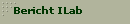 Bericht ILab