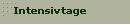 Intensivtage