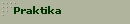 Praktika