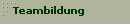 Teambildung